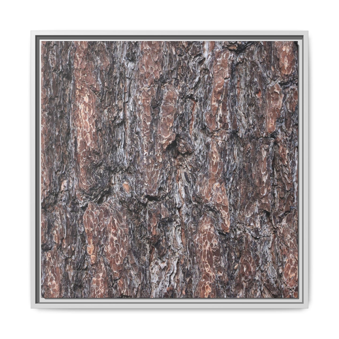 Echoes of Wood - Unique Stretched Canvas Wall Art