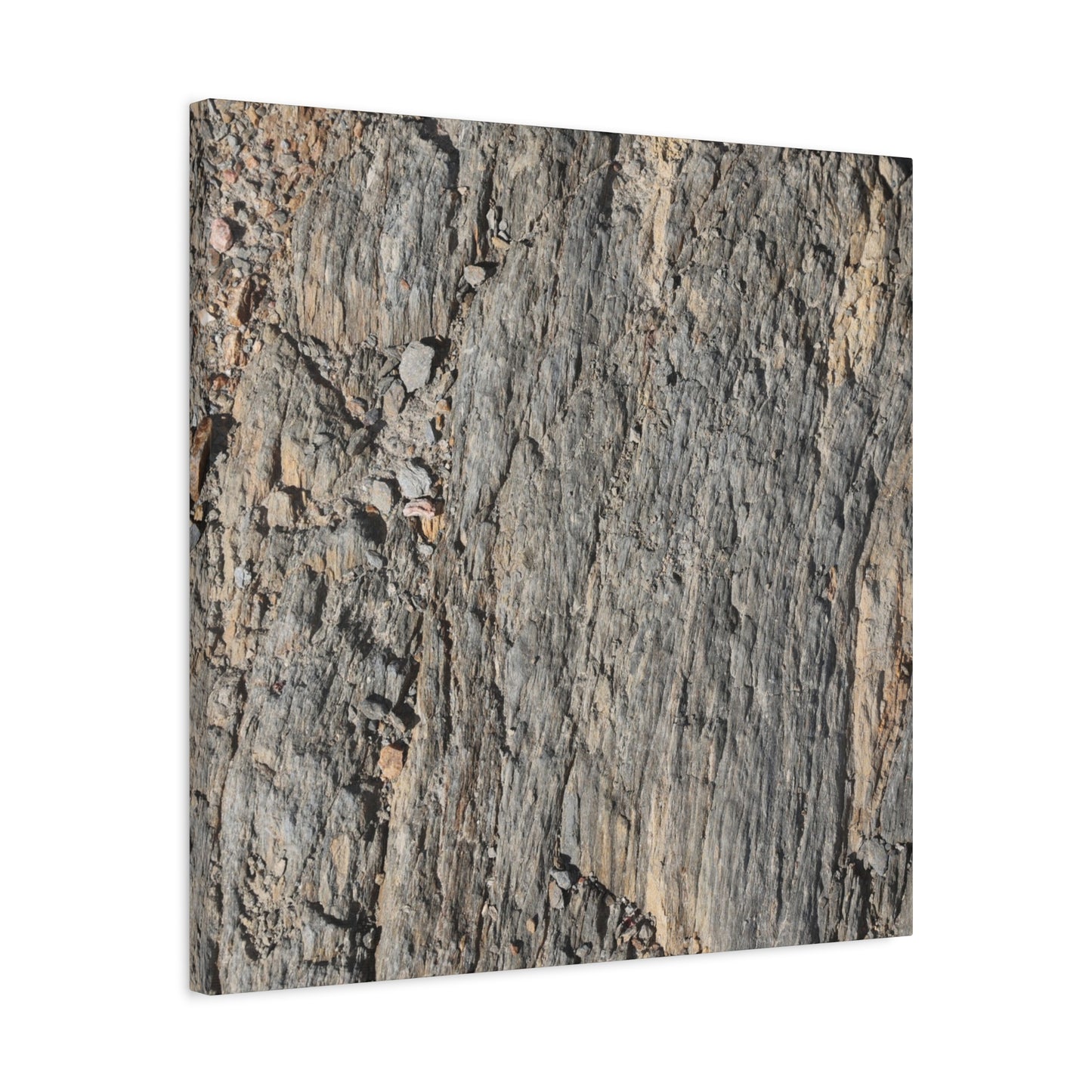 Bark Echoes - Unique Frameless Canvas Wall Art - Art By Earth