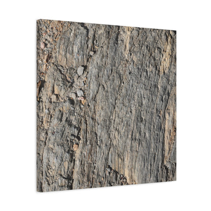 Bark Echoes - Unique Frameless Canvas Wall Art - Art By Earth