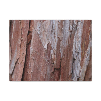 Peeling Paint - Unique Frameless Canvas Wall Art - Art By Earth