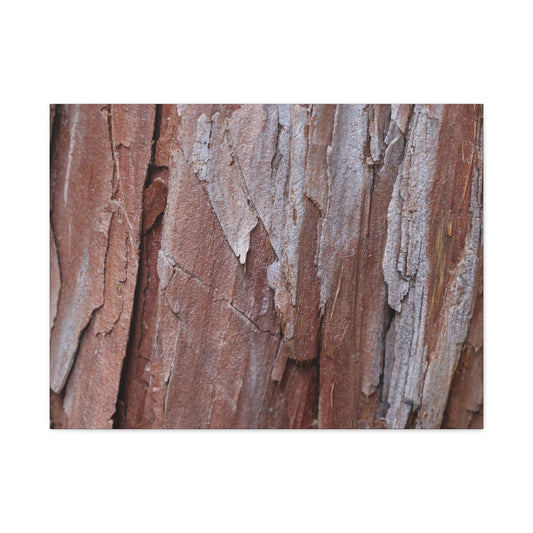 Peeling Paint - Unique Frameless Canvas Wall Art - Art By Earth