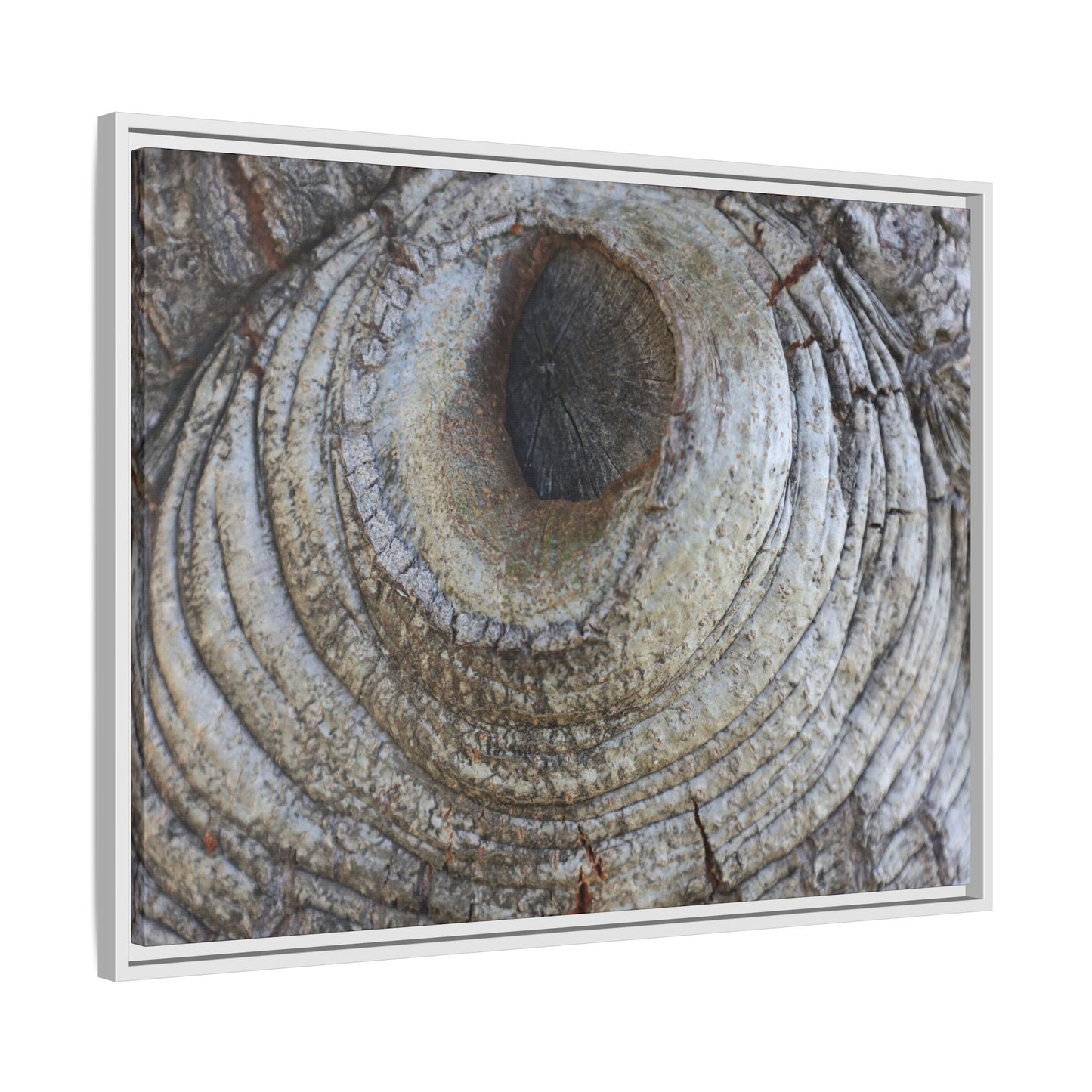 Echoes of Time - Unique Stretched Canvas Wall Art - Art By Earth