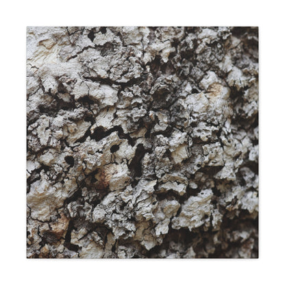 Cracked Earth Tapestry - Unique Frameless Canvas Wall Art - Art By Earth