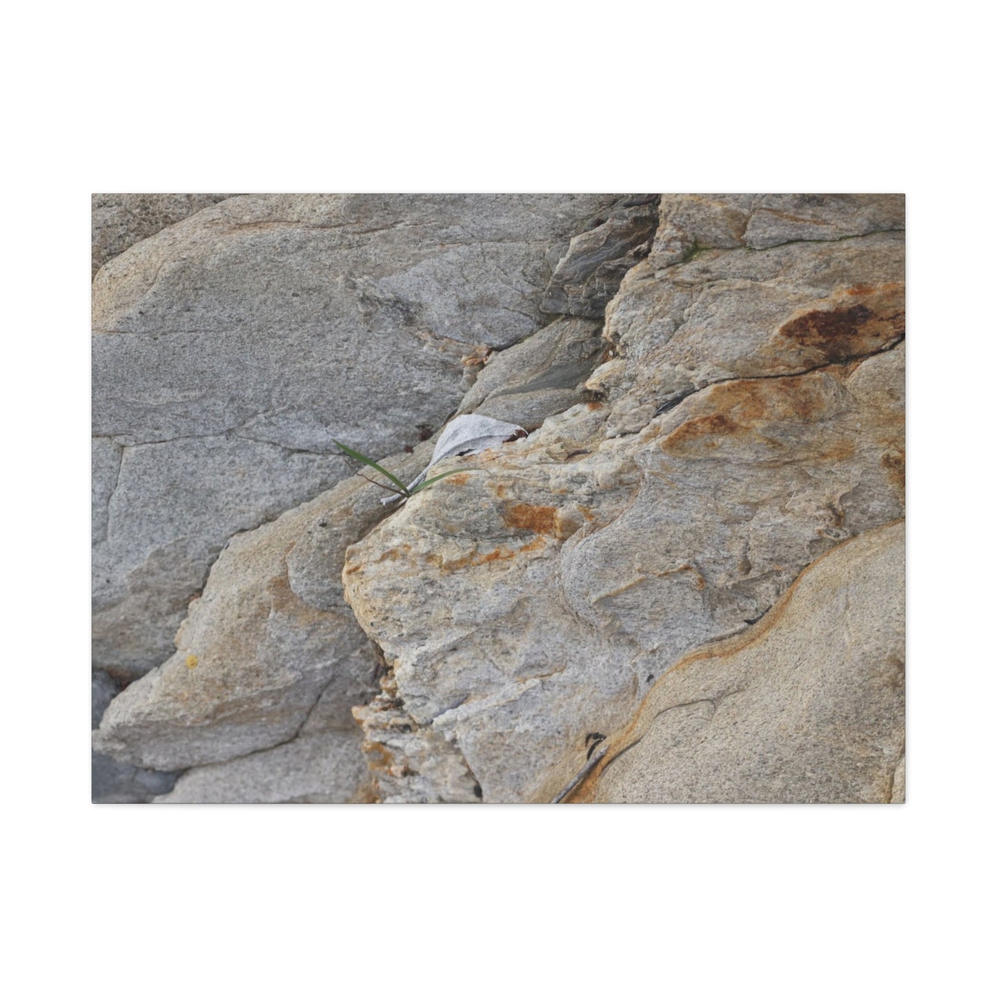 Fractal Earth - Unique Frameless Canvas Wall Art - Art By Earth