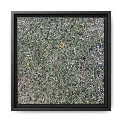 Grassy Texture - Unique Stretched Canvas Wall Art - Art By Earth