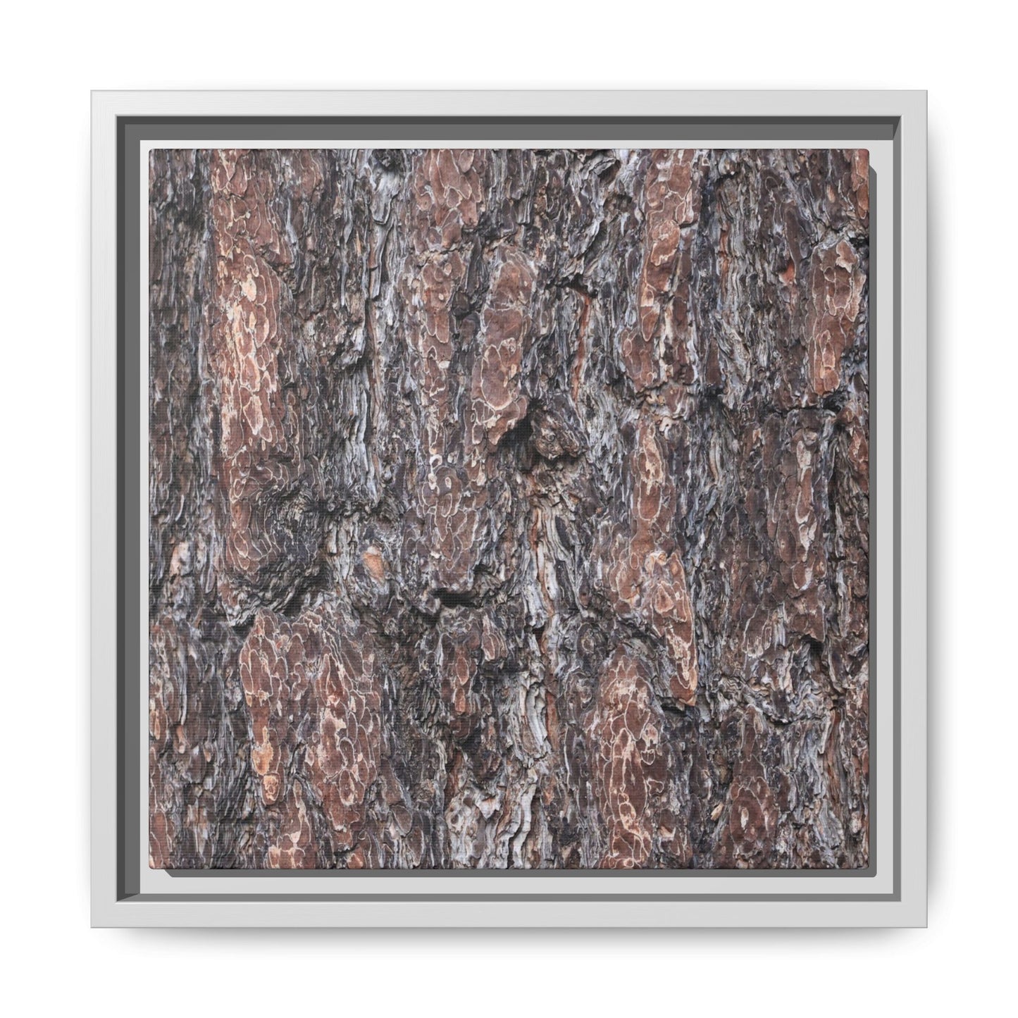 Echoes of Wood - Unique Stretched Canvas Wall Art