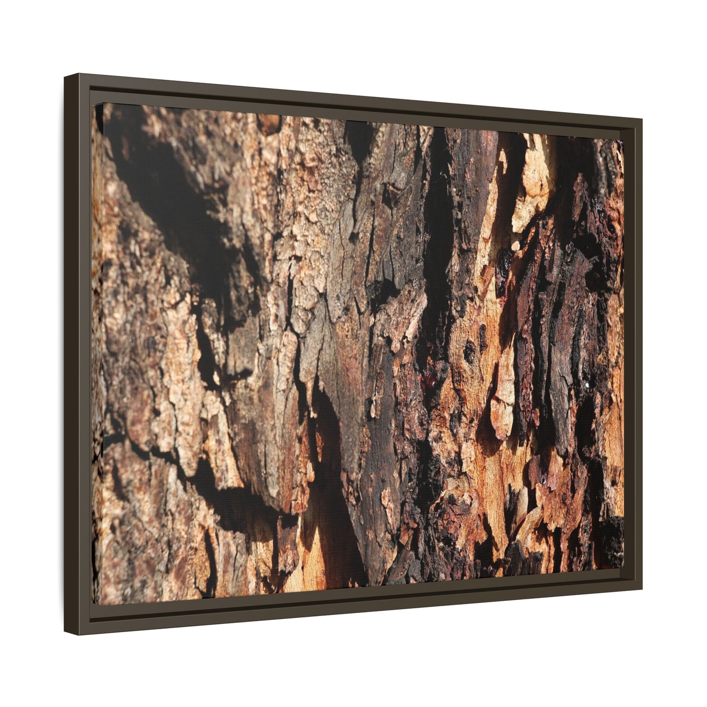 Rugged Beauty - Unique Stretched Canvas Wall Art - Art By Earth