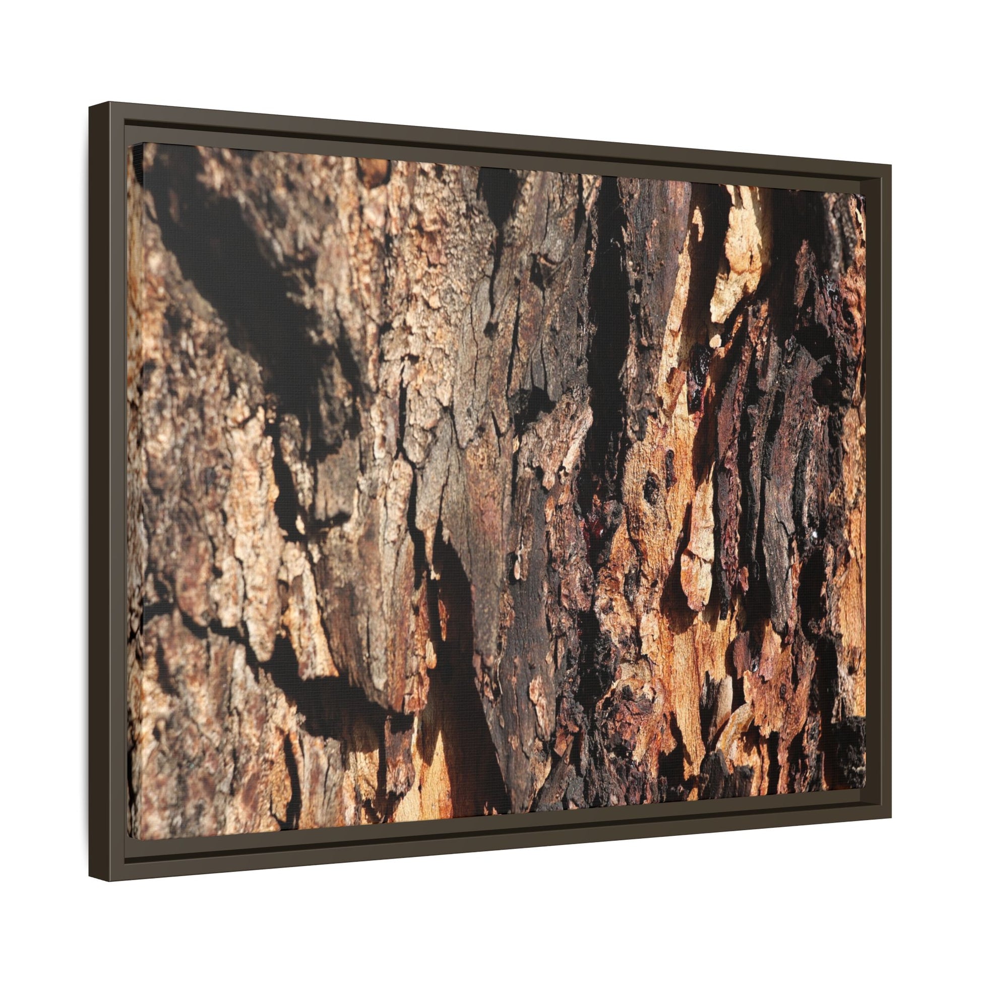 Rugged Beauty - Unique Stretched Canvas Wall Art - Art By Earth