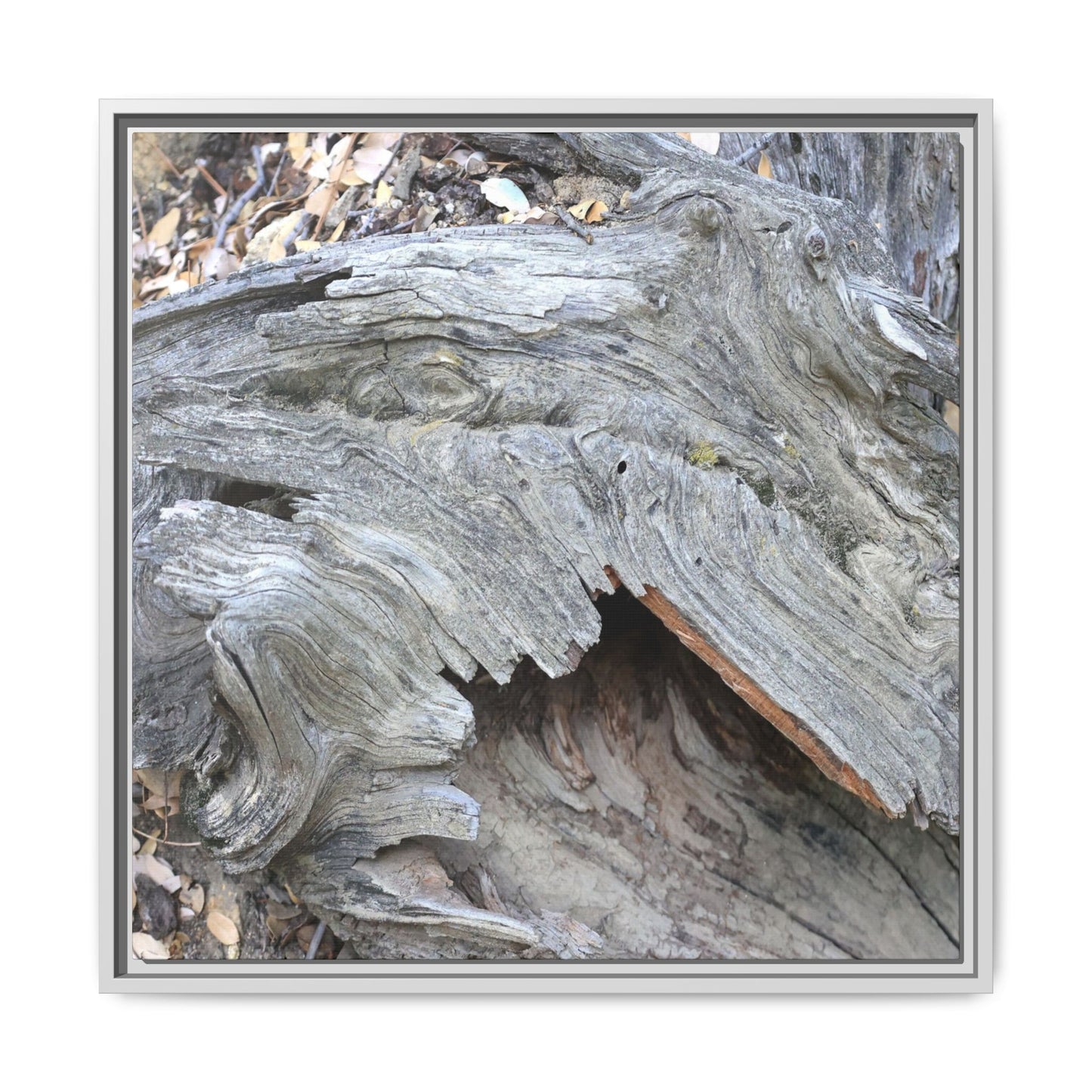 Driftwood Dreams - Unique Stretched Canvas Wall Art - Art By Earth