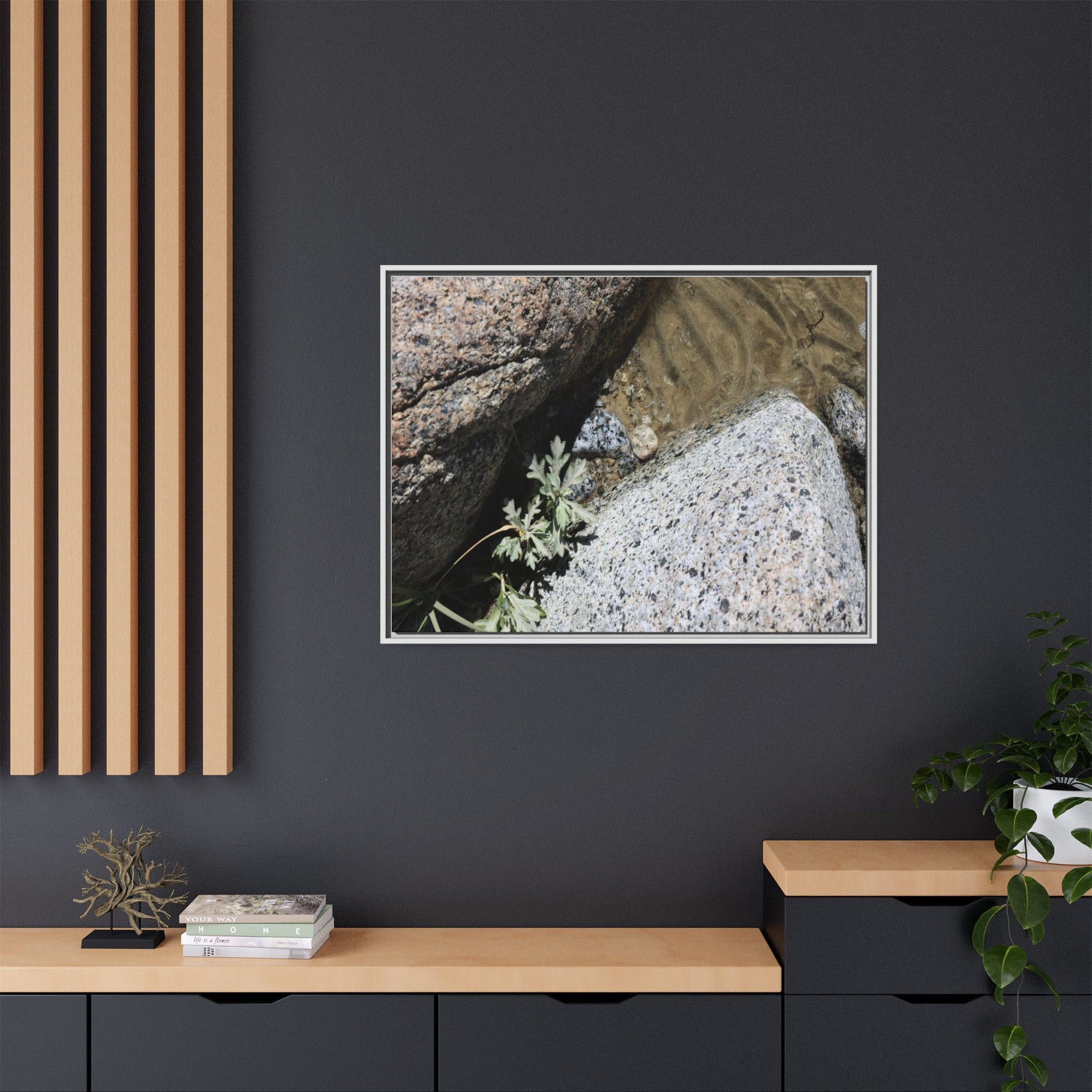 Resilience in Stone - Unique Stretched Canvas Wall Art - Art By Earth