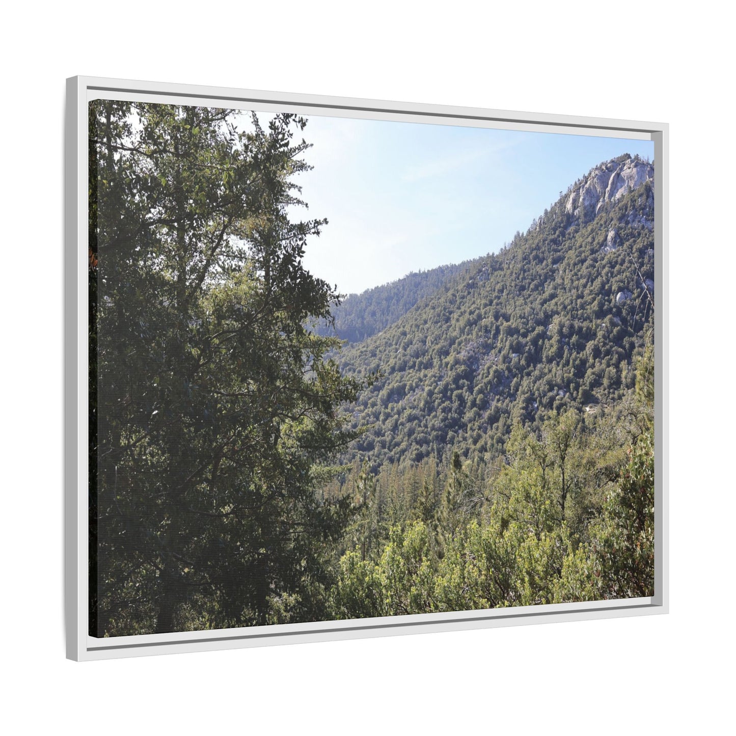 Mountain Valley Forest - Unique Stretched Canvas Wall Art