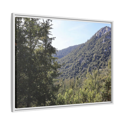 Mountain Valley Forest - Unique Stretched Canvas Wall Art