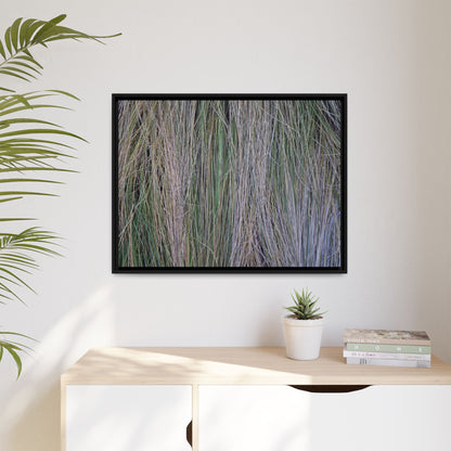 Whispers of Silver Grass - Unique Stretched Canvas Wall Art - Art By Earth