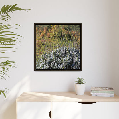 Arid Landscape with Yellow Flowers - Unique Stretched Canvas Wall Art - Art By Earth