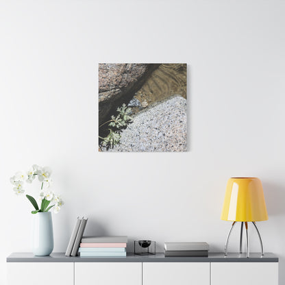 Between Stone and Sand - Unique Frameless Canvas Wall Art - Art By Earth