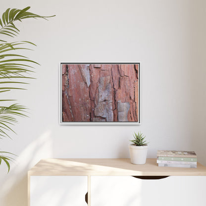 Peeling Bark - Unique Stretched Canvas Wall Art - Art By Earth