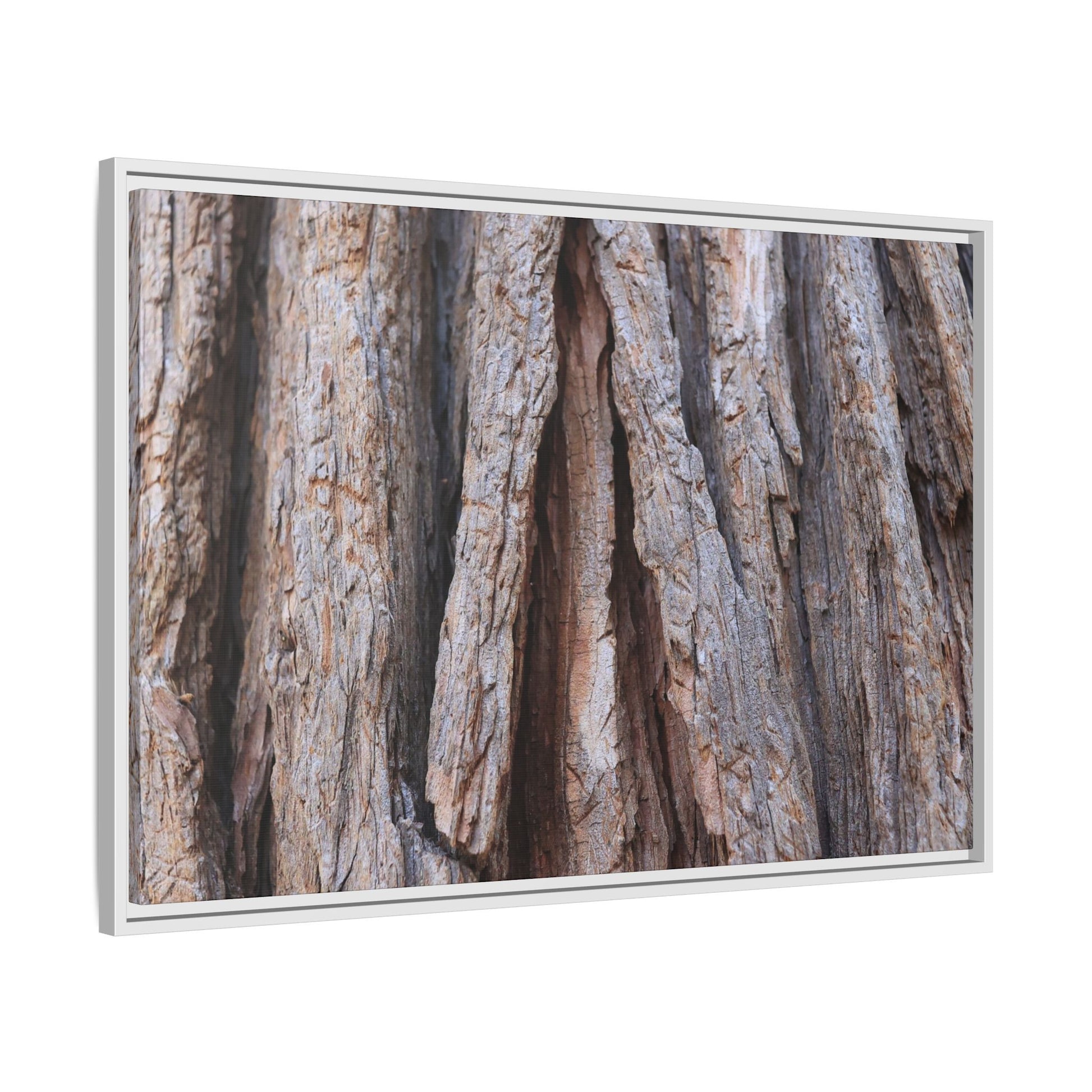 Nature's Sculpture - Unique Stretched Canvas Wall Art - Art By Earth