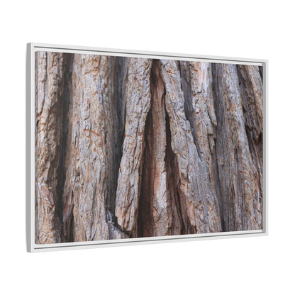 Nature's Sculpture - Unique Stretched Canvas Wall Art - Art By Earth