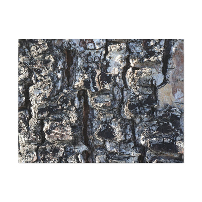 Textured Whispers of the Ancient Tree - Unique Frameless Canvas Wall Art - Art By Earth