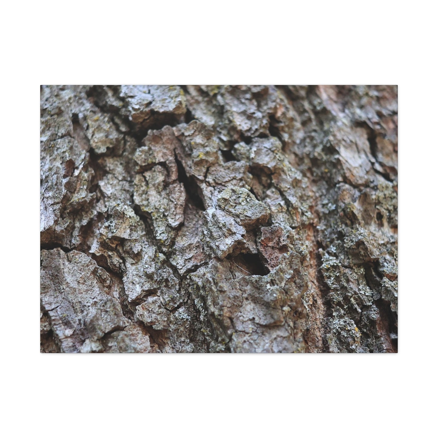 Cracked Echoes - Unique Frameless Canvas Wall Art - Art By Earth