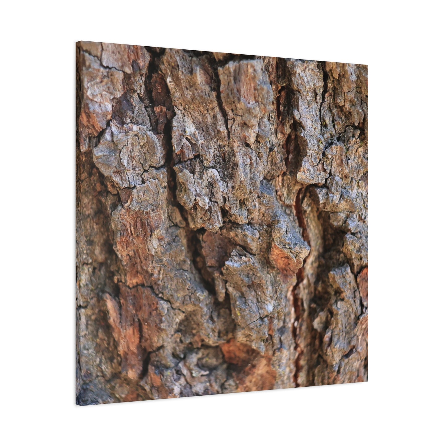 Nature's Skin - Unique Frameless Canvas Wall Art - Art By Earth