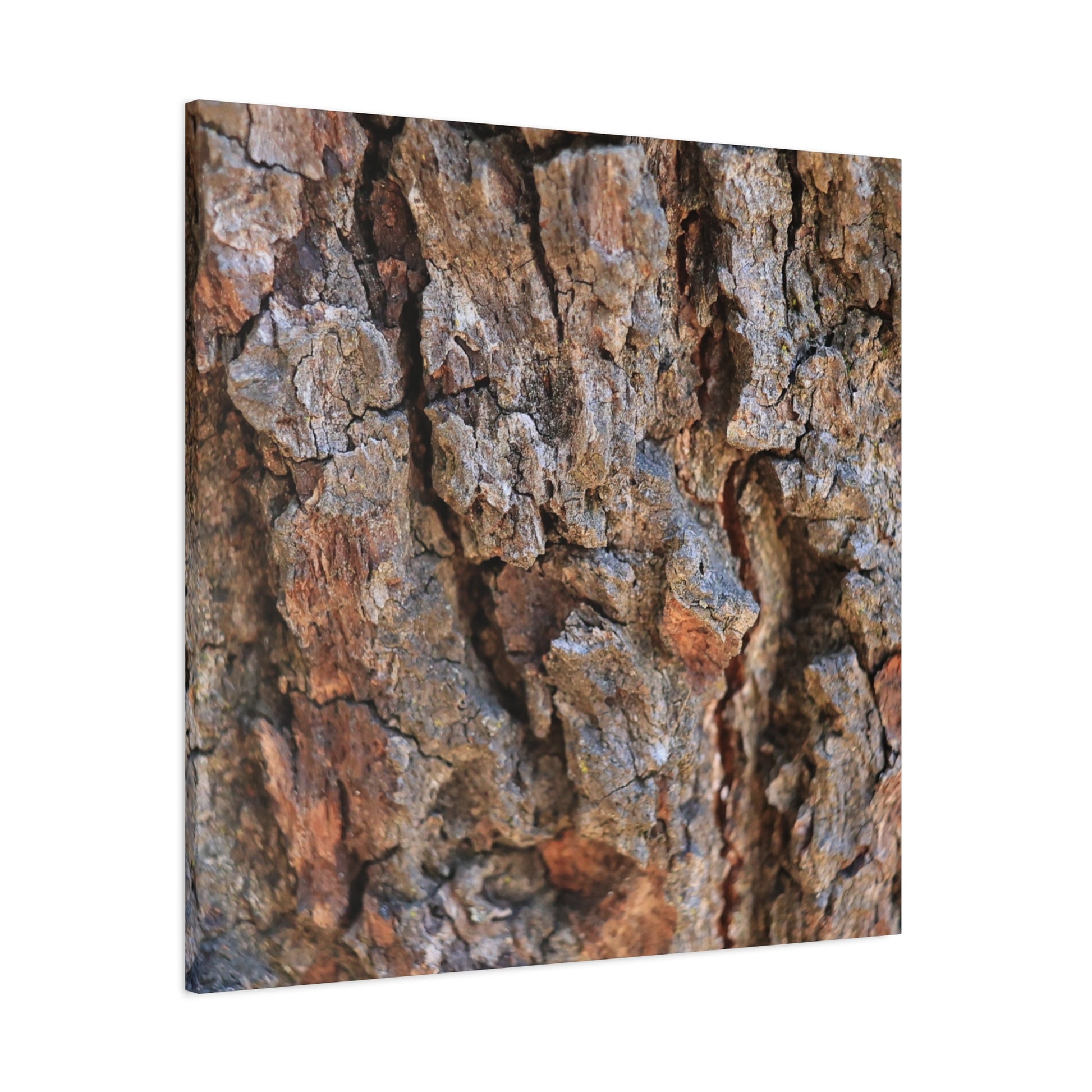 Nature's Skin - Unique Frameless Canvas Wall Art - Art By Earth