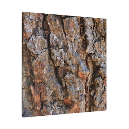 Nature's Skin - Unique Frameless Canvas Wall Art - Art By Earth