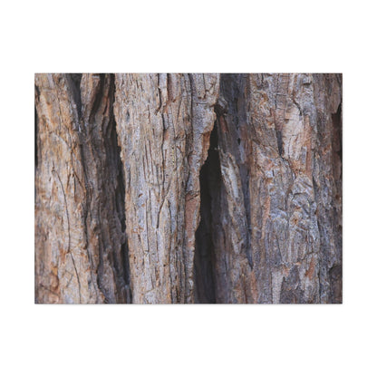 Fractal Skin - Unique Frameless Canvas Wall Art - Art By Earth