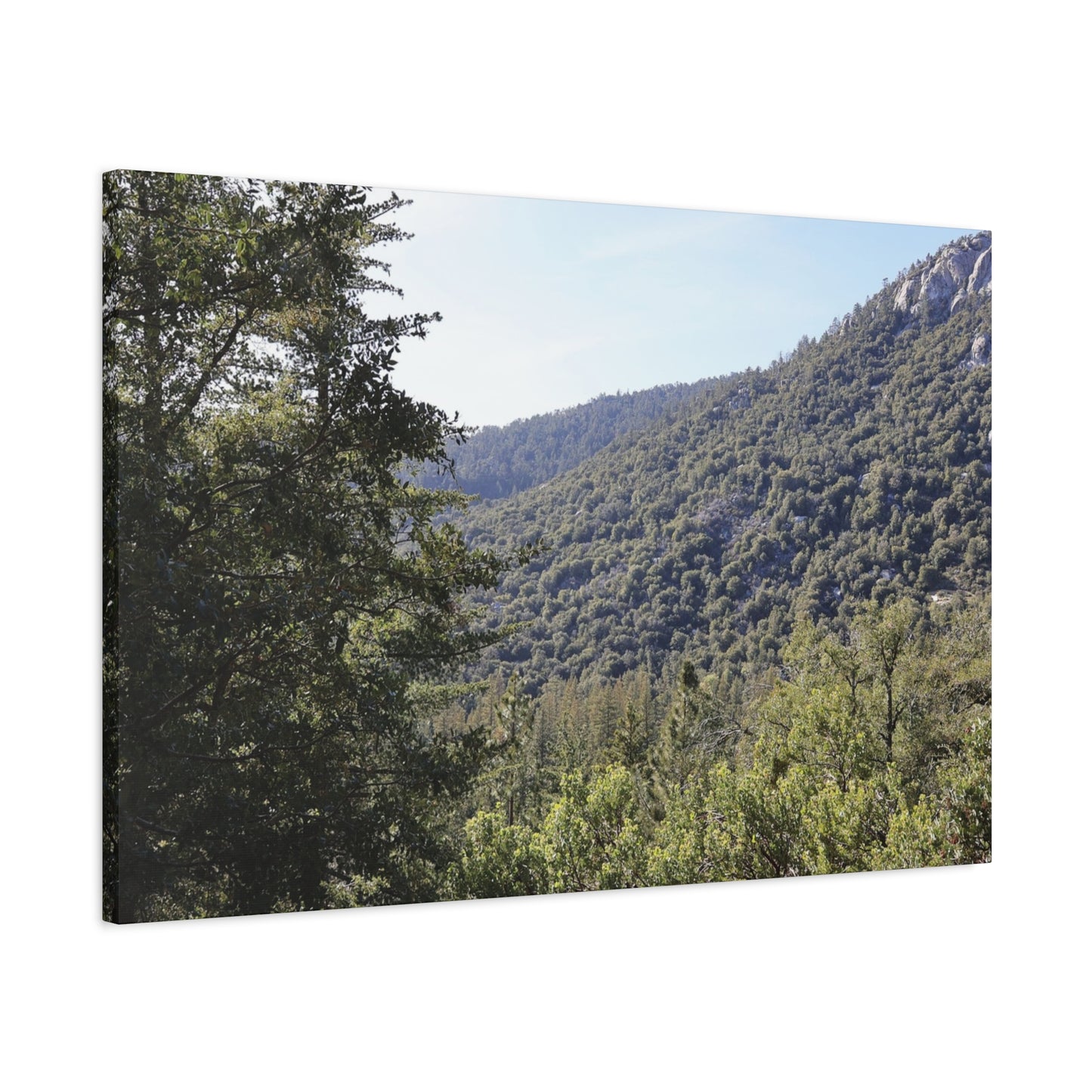Mountain Vista Through Forest - Unique Frameless Canvas Wall Art