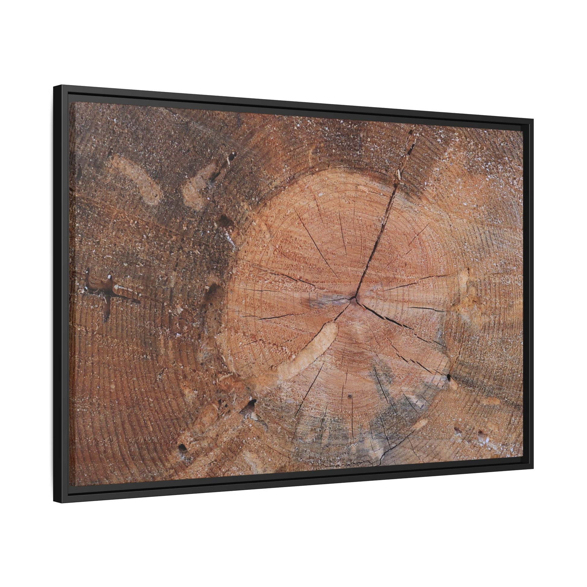 Concentric Memories - Unique Stretched Canvas Wall Art - Art By Earth