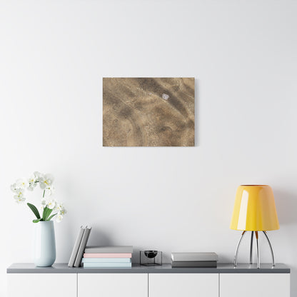 Sandy Shore Impressions - Unique Frameless Canvas Wall Art - Art By Earth