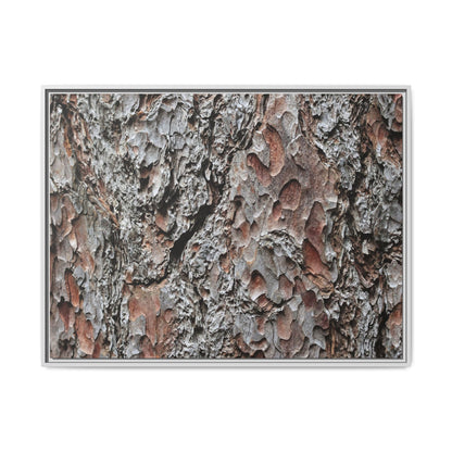Bark Texture Symphony - Unique Stretched Canvas Wall Art - Art By Earth