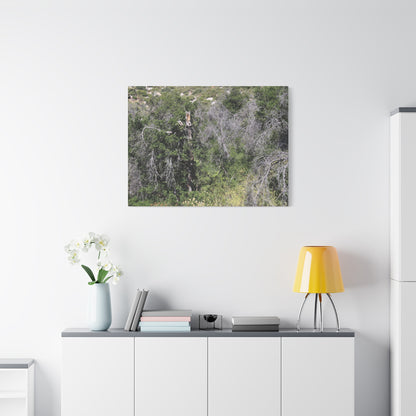 Drought-Stricken Forest - Unique Frameless Canvas Wall Art