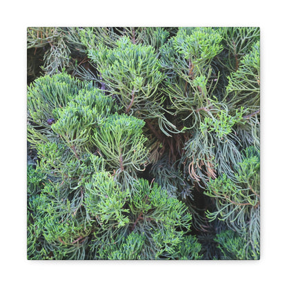 Green Labyrinth - Unique Frameless Canvas Wall Art - Art By Earth