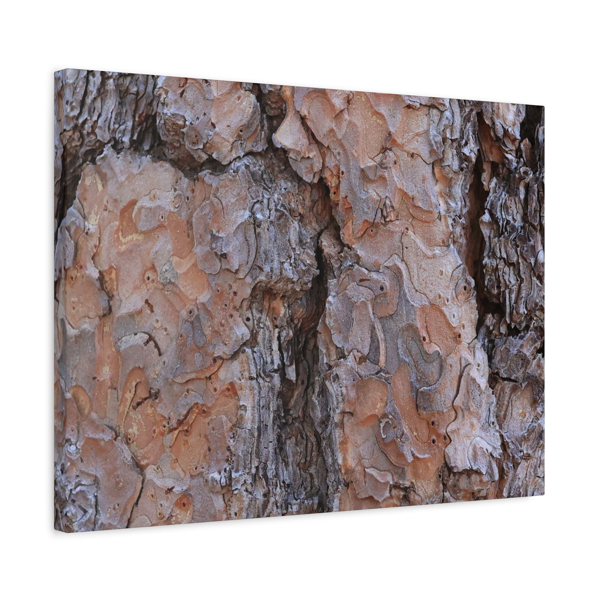 Arboreal Armor - Unique Frameless Canvas Wall Art - Art By Earth