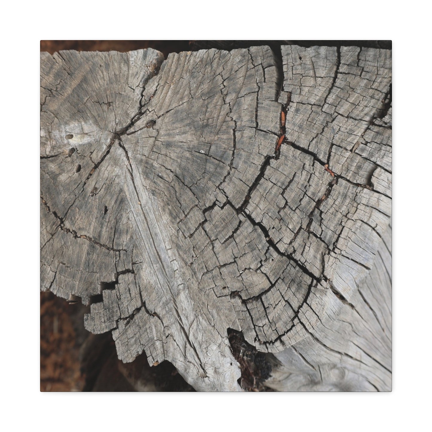 Cracked Memories - Unique Frameless Canvas Wall Art - Art By Earth