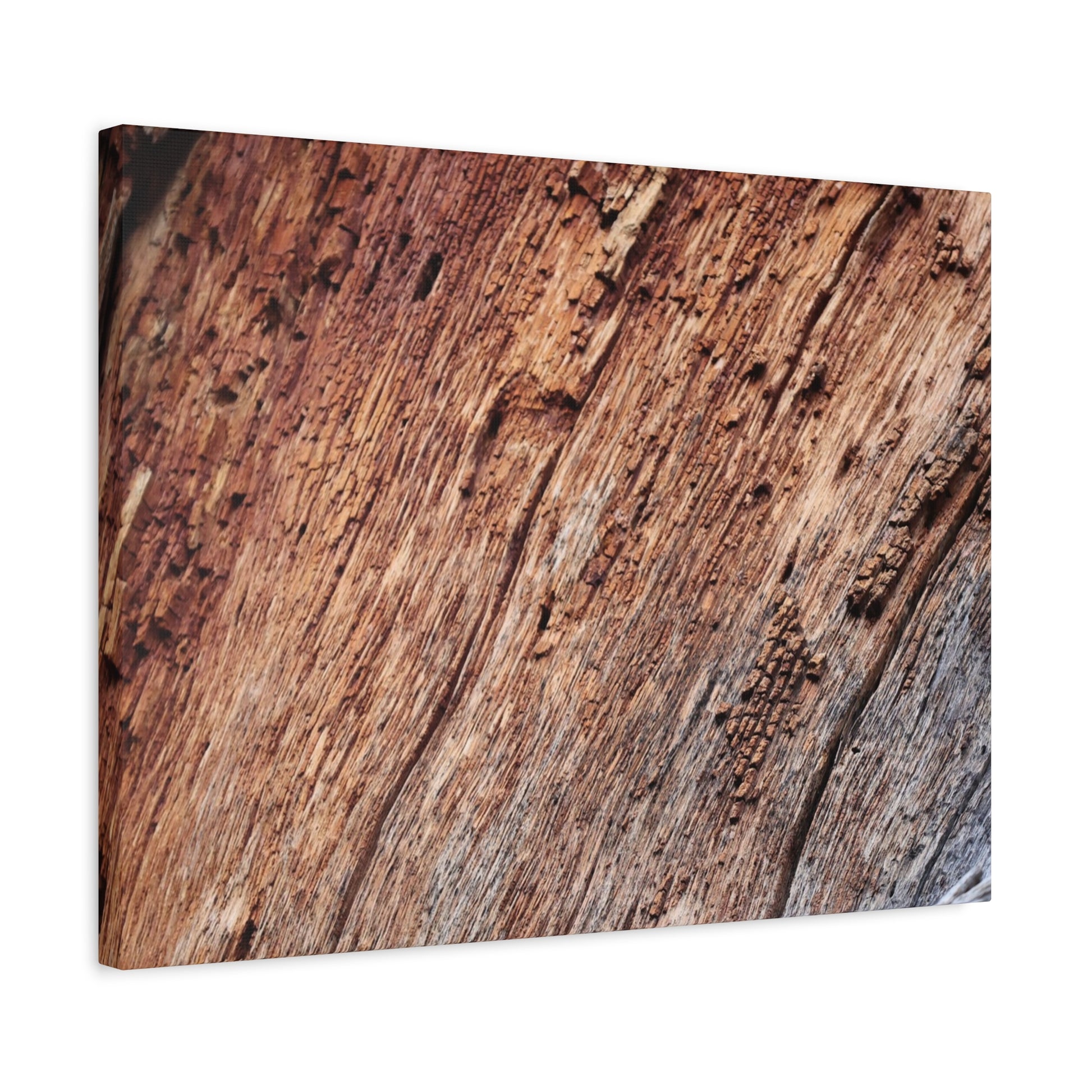 Natural Wood Grain - Unique Frameless Canvas Wall Art - Art By Earth