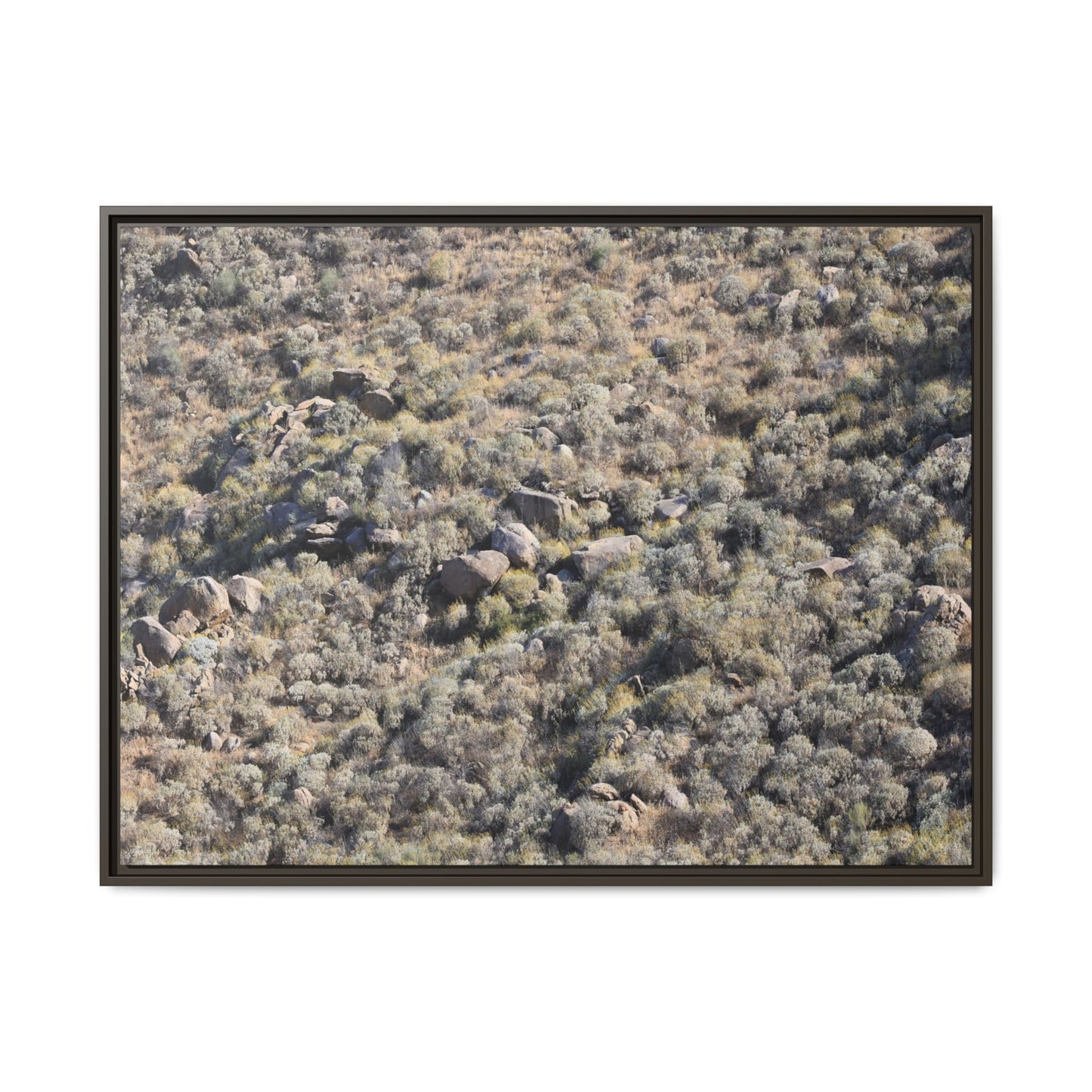 Arid Terrain Study - Unique Stretched Canvas Wall Art - Art By Earth