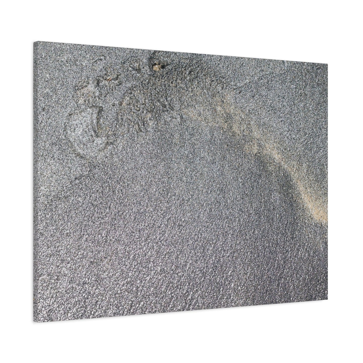 Ephemeral Whispers of Granite - Unique Frameless Canvas Wall Art - Art By Earth