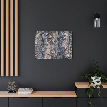 Arboreal Patterns - Unique Frameless Canvas Wall Art - Art By Earth
