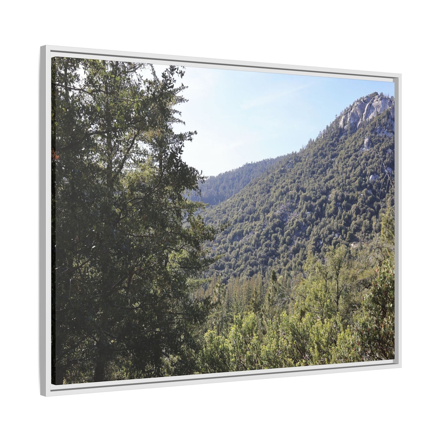 Mountain Valley Forest - Unique Stretched Canvas Wall Art