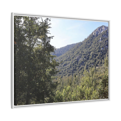 Mountain Valley Forest - Unique Stretched Canvas Wall Art