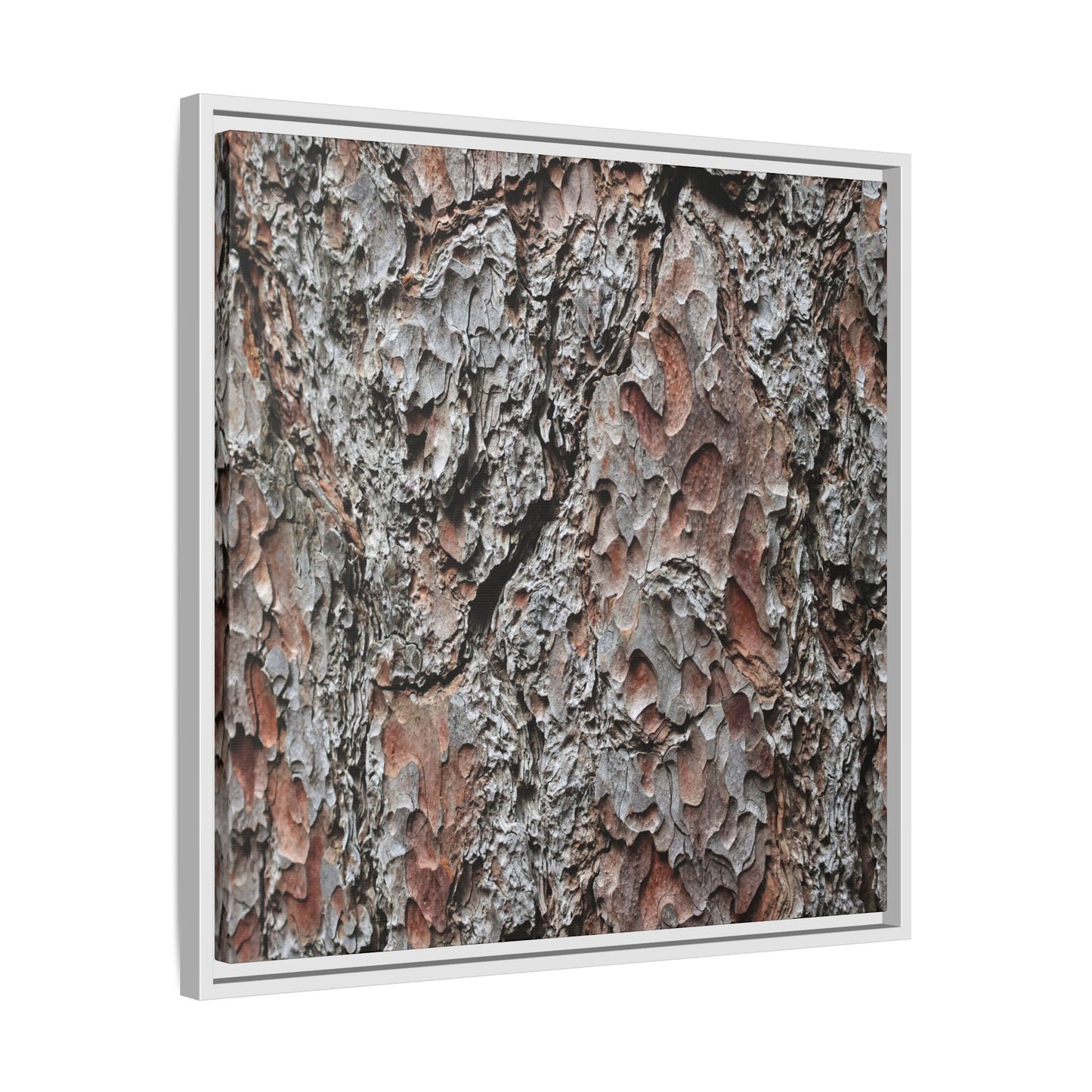 Bark Texture Symphony - Unique Stretched Canvas Wall Art - Art By Earth