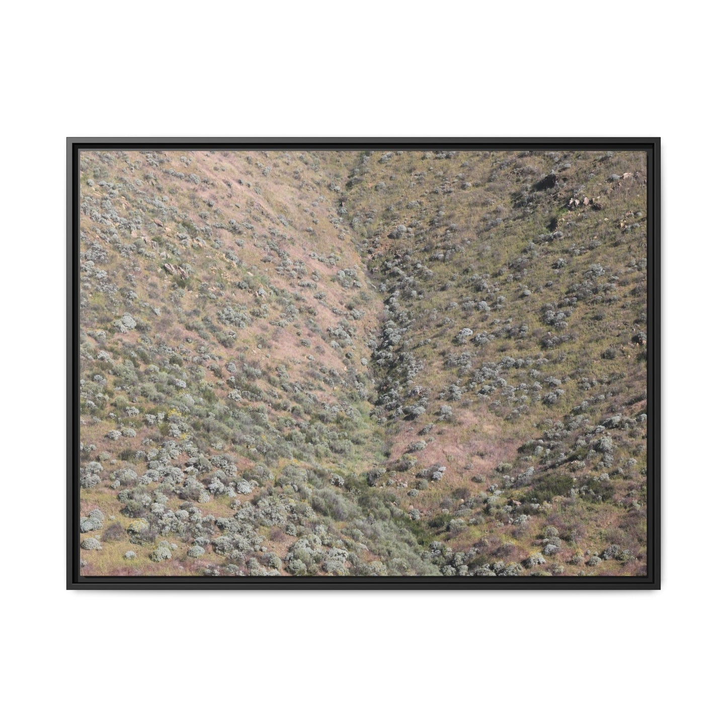 Mountain Slope with Desert Vegetation - Unique Stretched Canvas Wall Art - Art By Earth