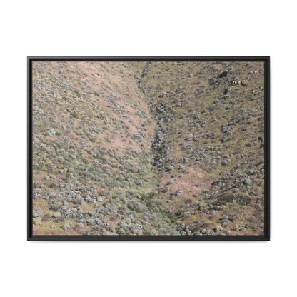 Mountain Slope with Desert Vegetation - Unique Stretched Canvas Wall Art - Art By Earth