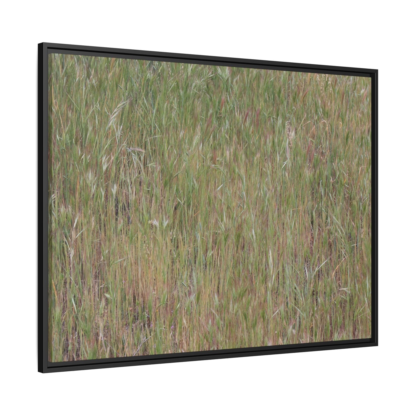 Field of Dreams - Unique Stretched Canvas Wall Art - Art By Earth