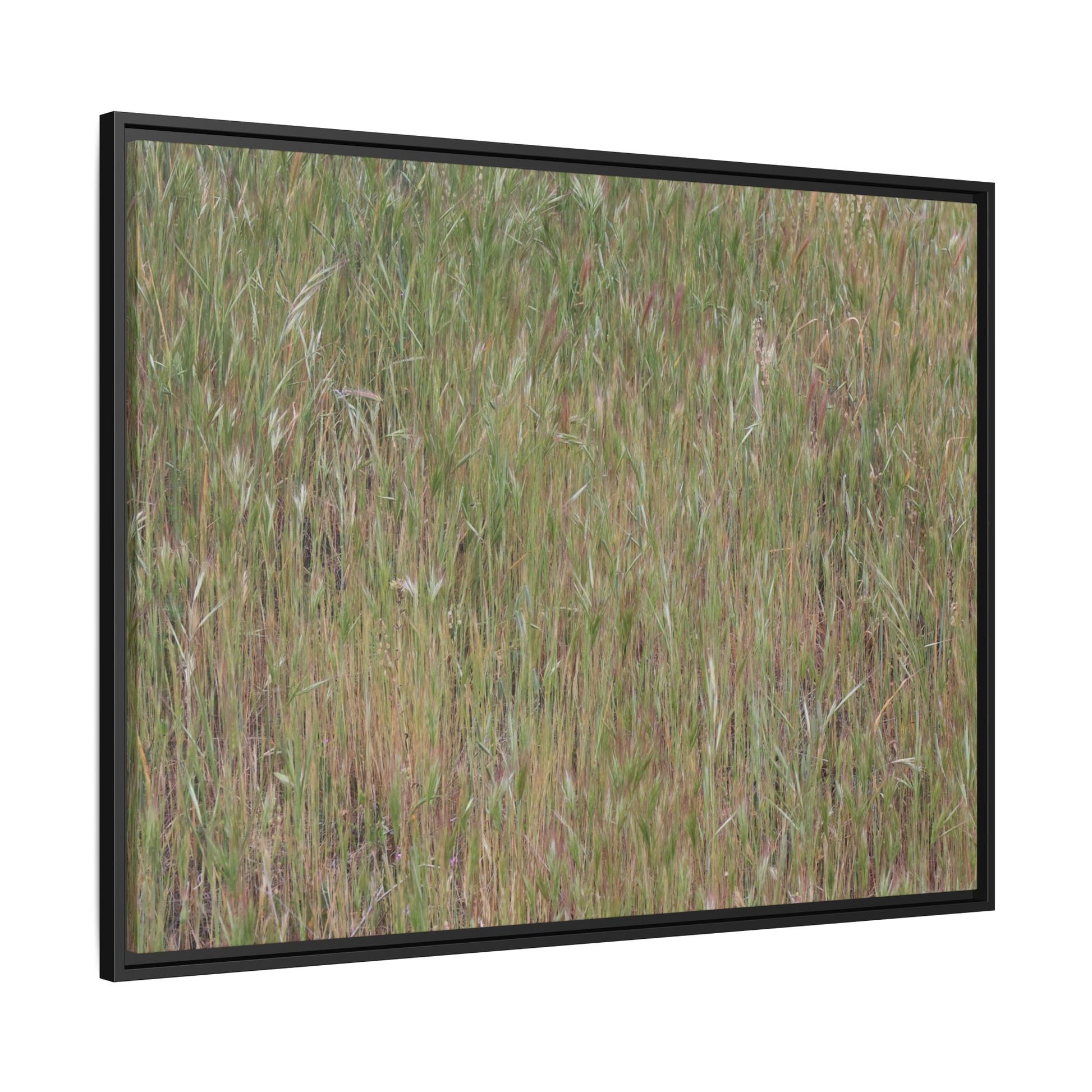 Field of Dreams - Unique Stretched Canvas Wall Art - Art By Earth