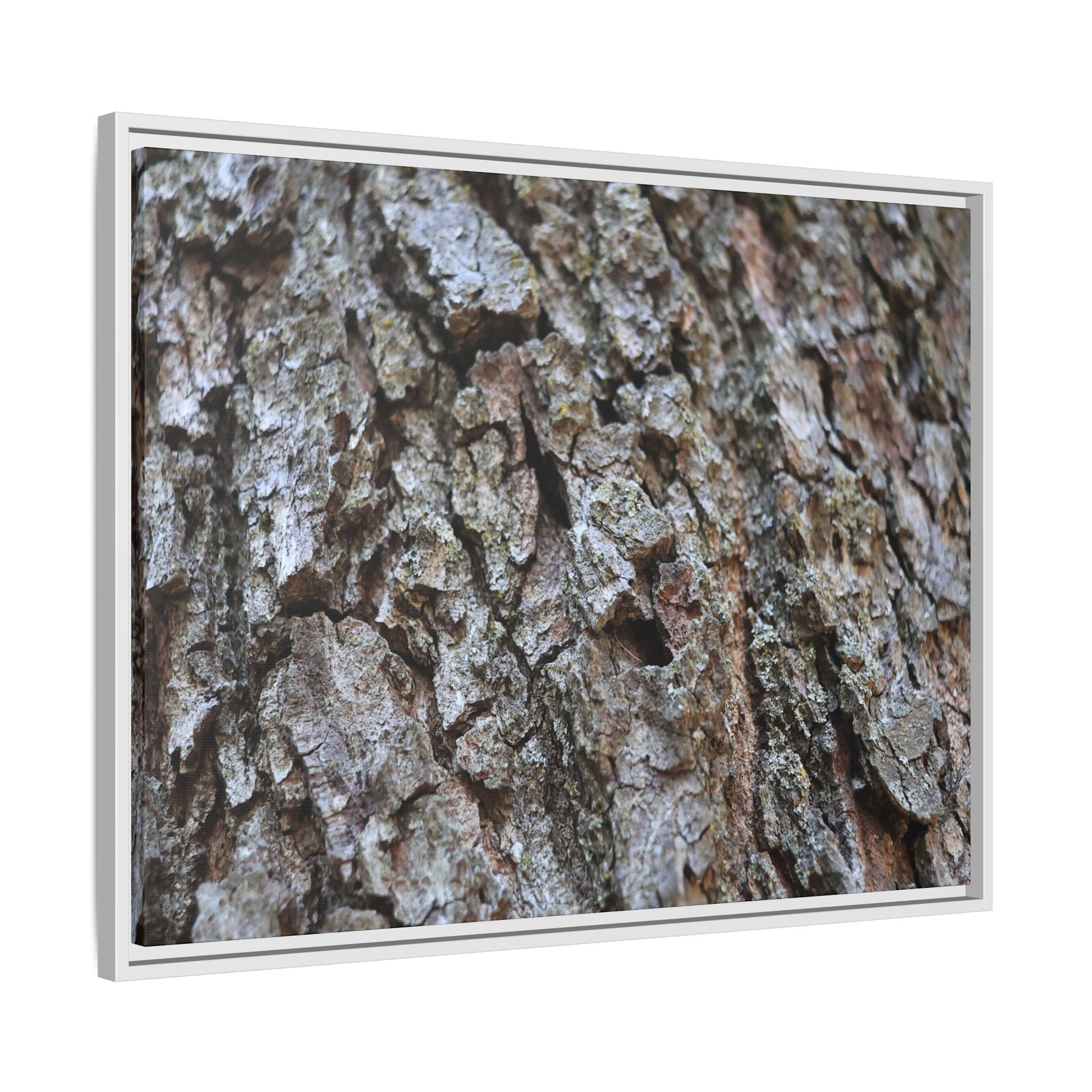 Woodland Canvas - Unique Stretched Canvas Wall Art - Art By Earth