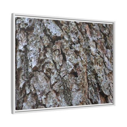 Woodland Canvas - Unique Stretched Canvas Wall Art - Art By Earth