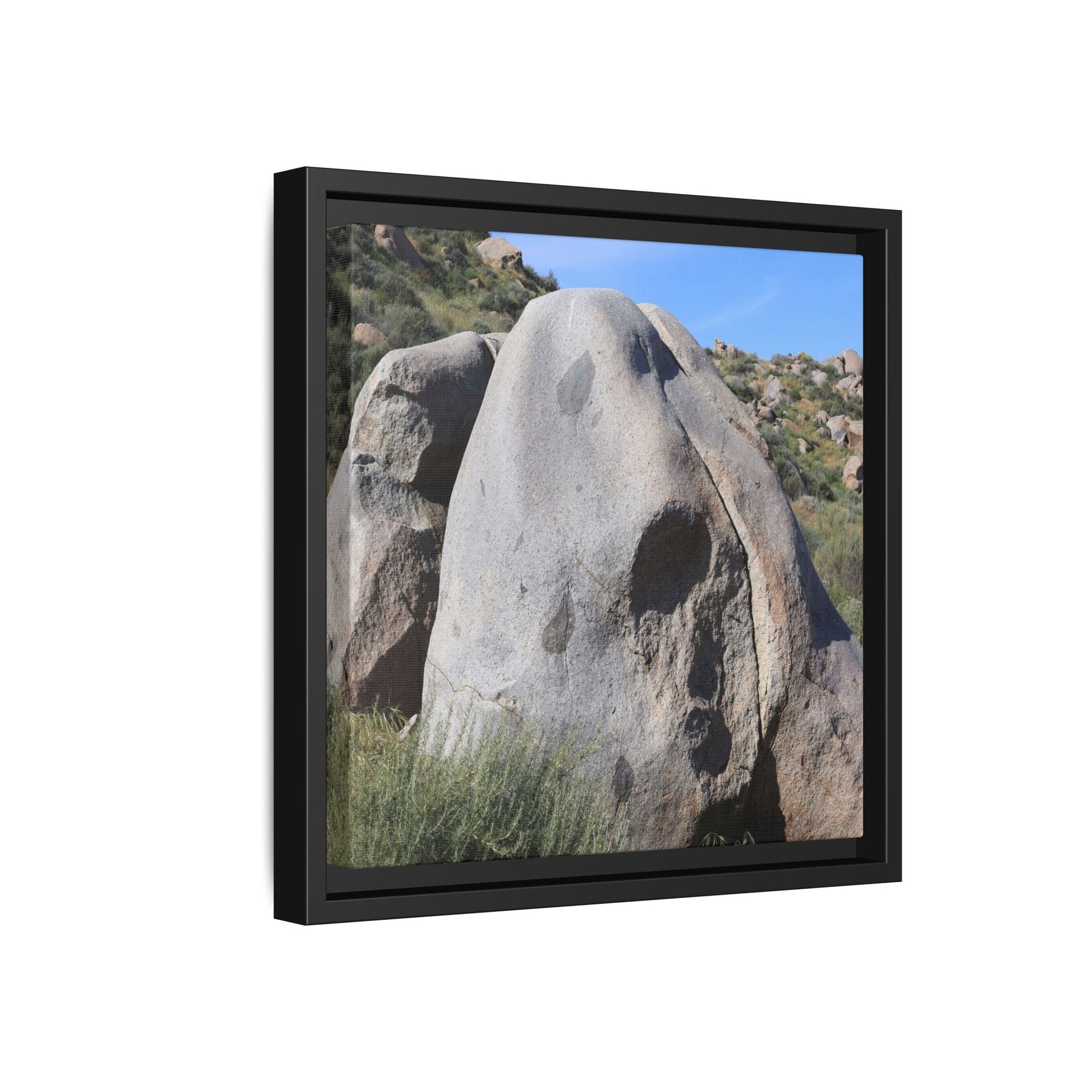 Skull Rock Desert - Unique Stretched Canvas Wall Art - Art By Earth